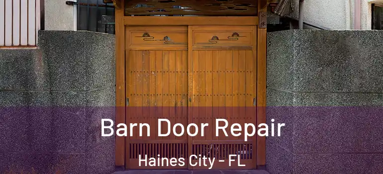  Barn Door Repair Haines City - FL