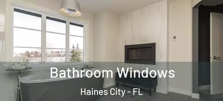  Bathroom Windows Haines City - FL