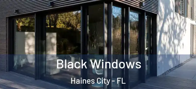  Black Windows Haines City - FL
