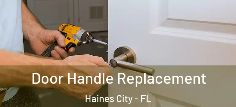 Door Handle Replacement Haines City - FL