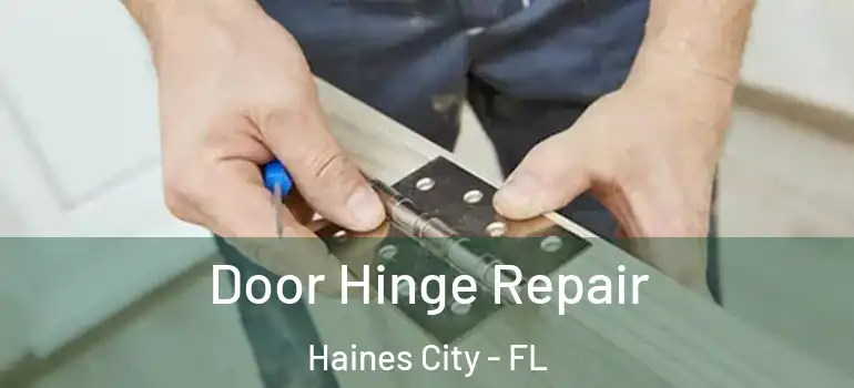  Door Hinge Repair Haines City - FL