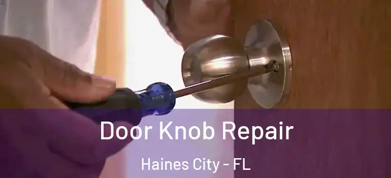  Door Knob Repair Haines City - FL