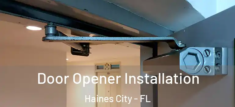  Door Opener Installation Haines City - FL