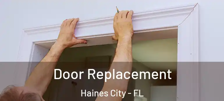  Door Replacement Haines City - FL