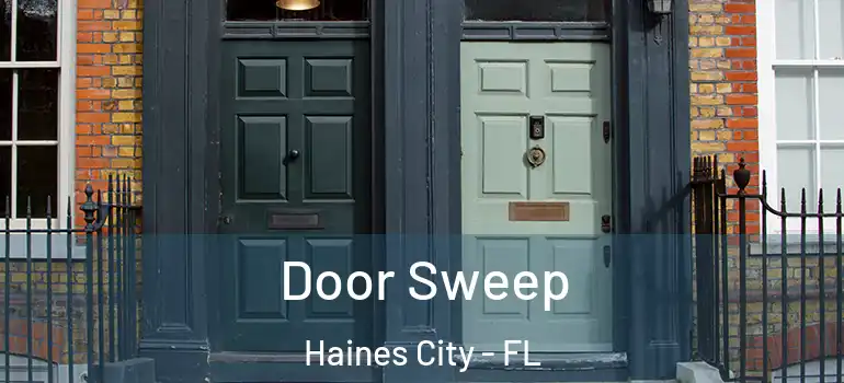  Door Sweep Haines City - FL
