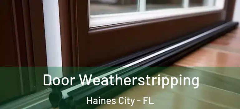  Door Weatherstripping Haines City - FL