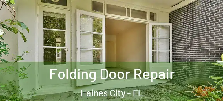  Folding Door Repair Haines City - FL