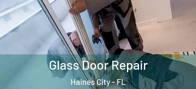  Glass Door Repair Haines City - FL