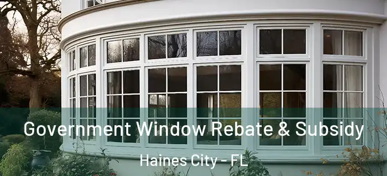  Government Window Rebate & Subsidy Haines City - FL