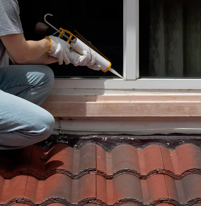 Roof Window Services in Haines City, Florida