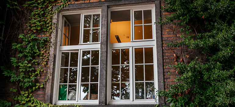 Energy Efficient Wood Windows in Haines City, FL