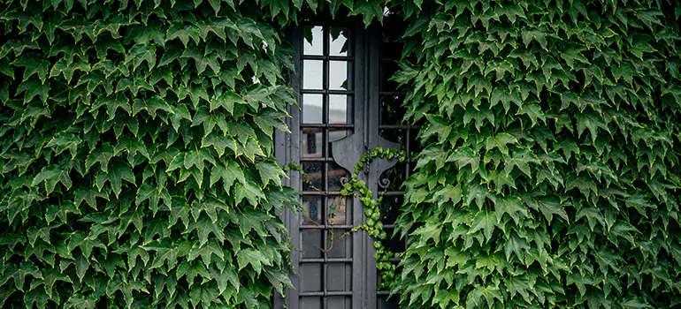 Garden Gate Repair in Haines City, FL