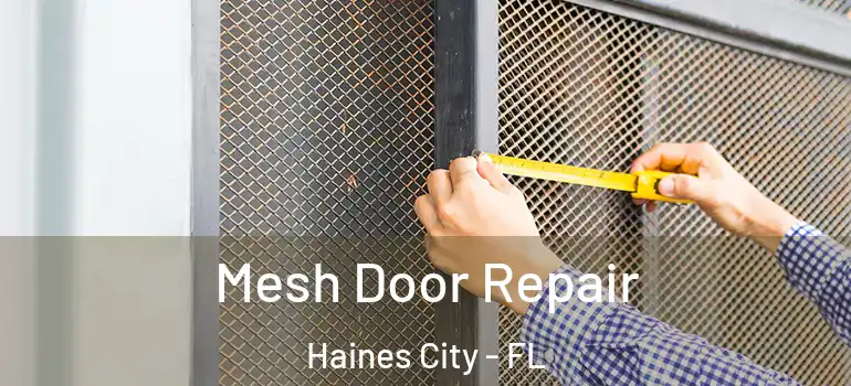  Mesh Door Repair Haines City - FL