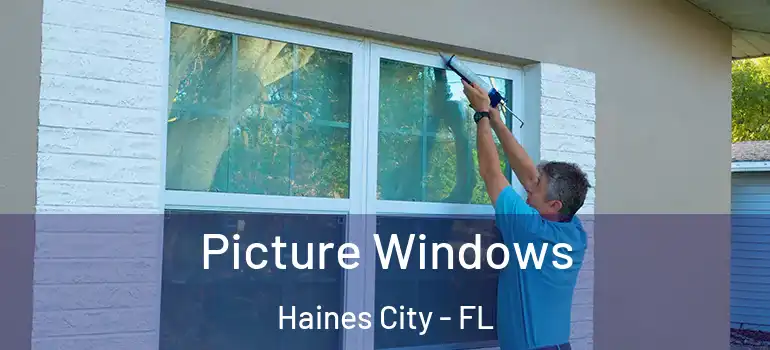  Picture Windows Haines City - FL