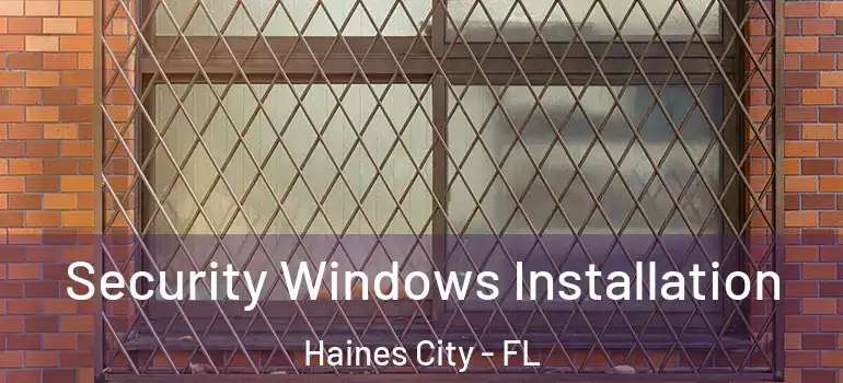  Security Windows Installation Haines City - FL