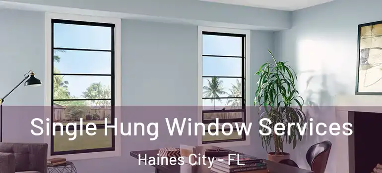  Single Hung Window Services Haines City - FL