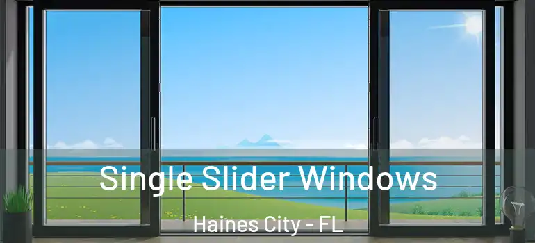  Single Slider Windows Haines City - FL