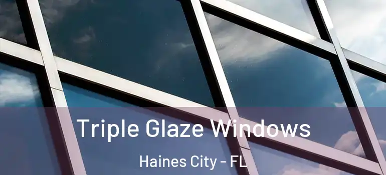  Triple Glaze Windows Haines City - FL