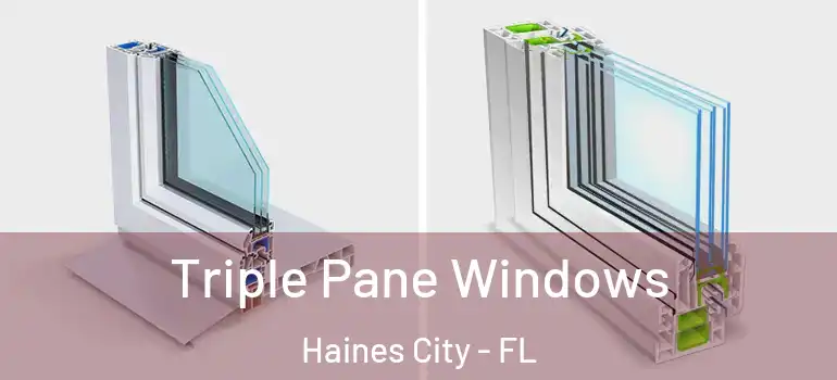  Triple Pane Windows Haines City - FL
