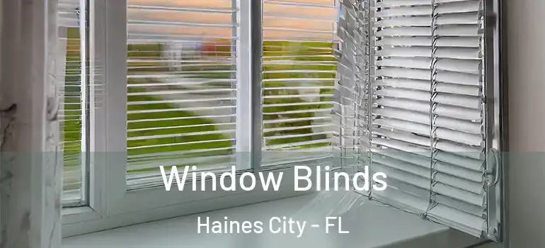  Window Blinds Haines City - FL