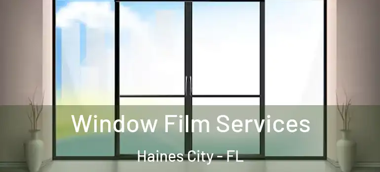  Window Film Services Haines City - FL