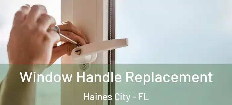  Window Handle Replacement Haines City - FL