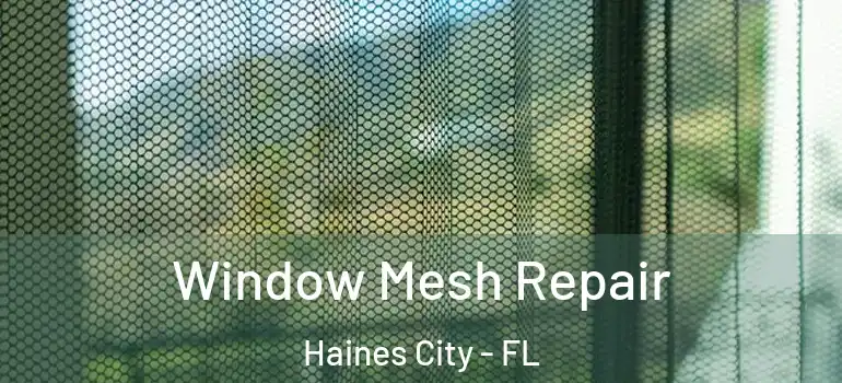  Window Mesh Repair Haines City - FL