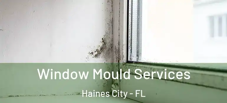  Window Mould Services Haines City - FL
