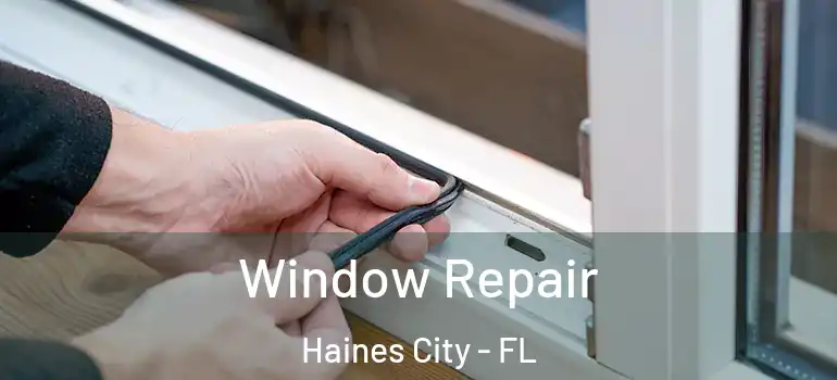  Window Repair Haines City - FL