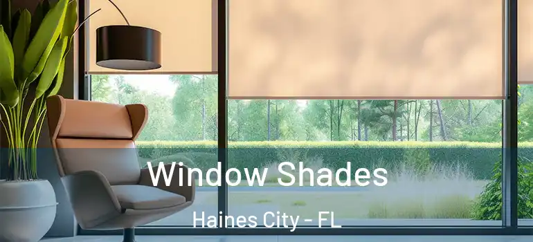  Window Shades Haines City - FL